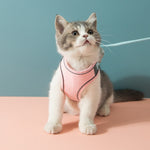 The Feline Freya Adventure Harness