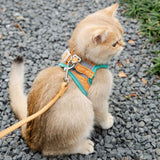 The Feline Freya Adventure Harness